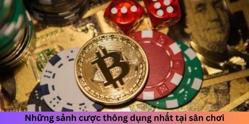 Những sảnh cược thông dụng nhất tại sân chơi