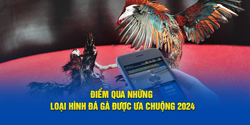 Điểm qua những loại hình đá gà được ưa chuộng 2024