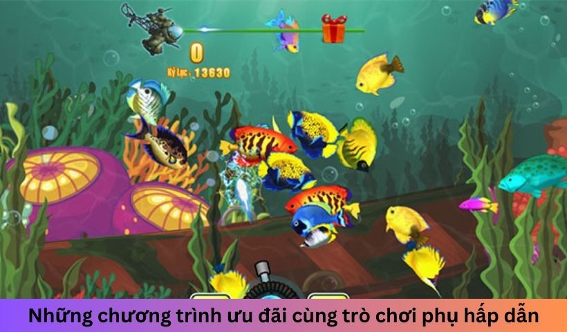 Những chương trình ưu đãi cùng trò chơi phụ hấp dẫn