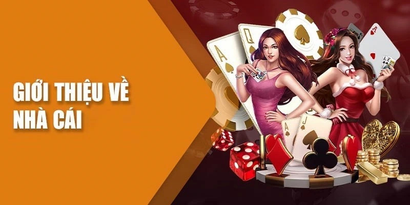 Khám phá trách nhiệm xã hội và cam kết bảo mật I9BET